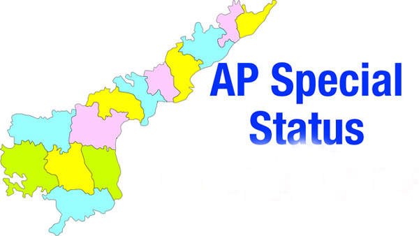 andhra pradesh,special status,pawan kalyan,people,andhra pradesh people,andhra pradesh political leaders  ప్రజలు ఎన్నుకున్న నాయకులకు హోదా వద్దా? 